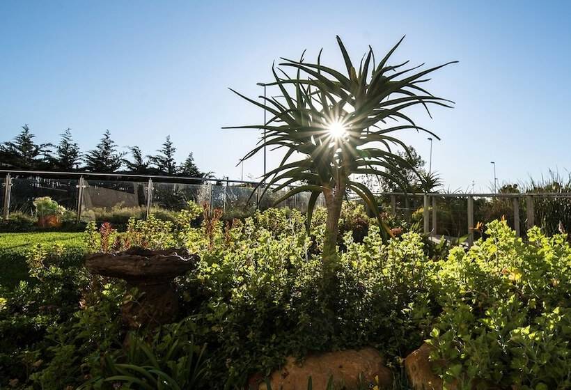 ホテル Verde Cape Town Airport