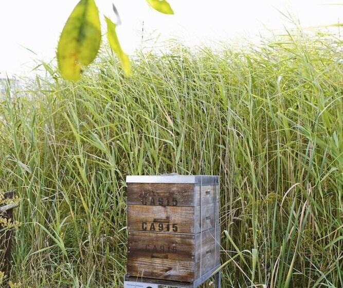 ホテル Verde Cape Town Airport