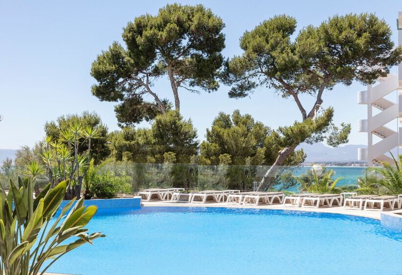 هتل Best Punta Dorada