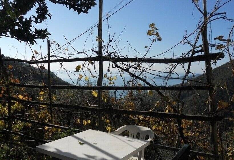 Agriturismo Le Terrazze Sul Mare