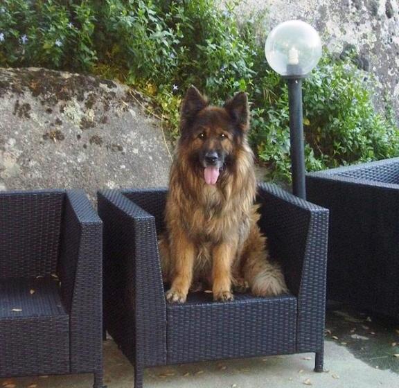 Agriturismo Santa Reparata