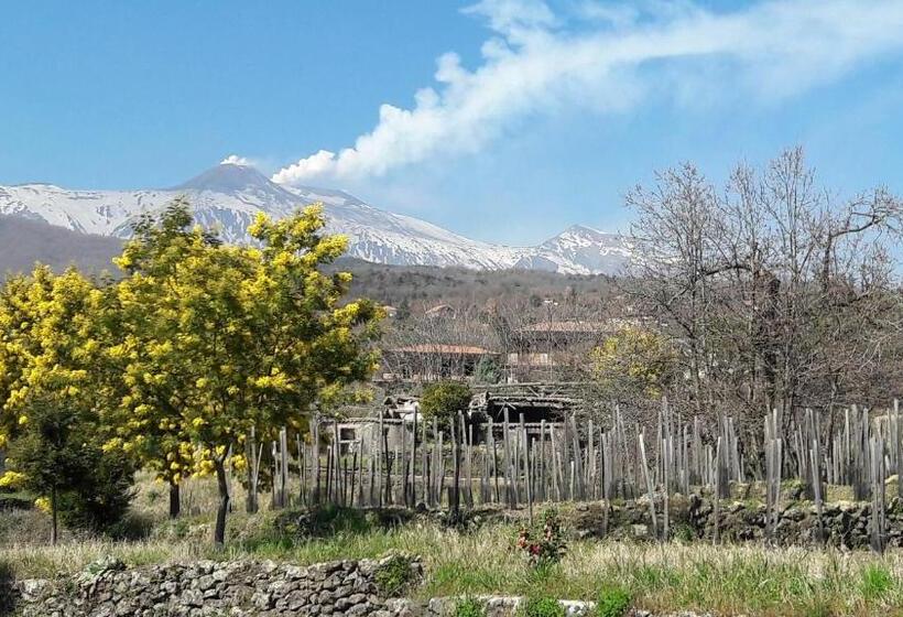 Alberto S Mt.etna B&b