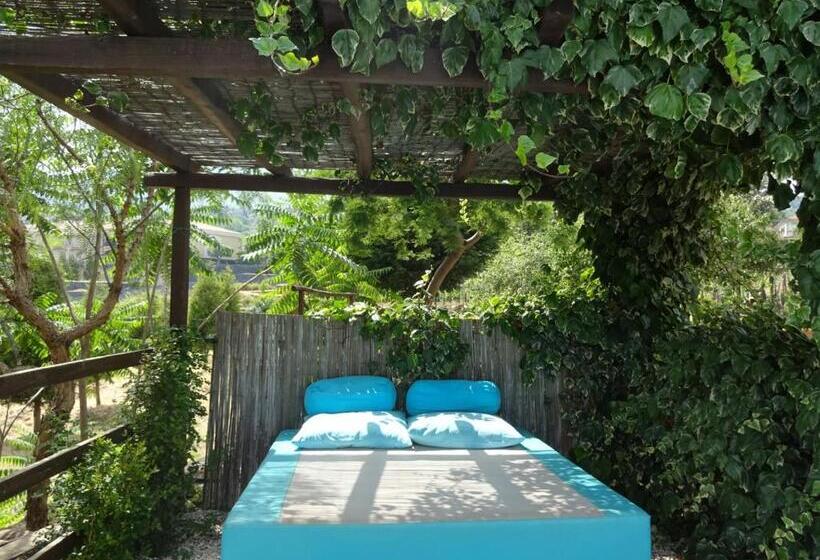 Alberto S Mt.etna B&b