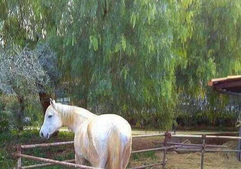 Bed and Breakfast Rocca Di Monreale