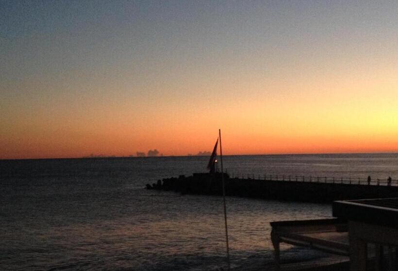 住宿加早餐 Sharon House