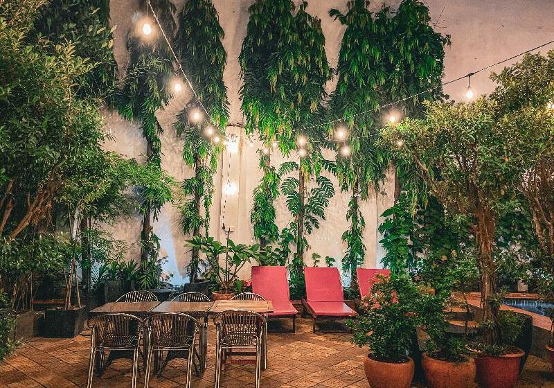 בית מלון כפרי Birdcage Boutique