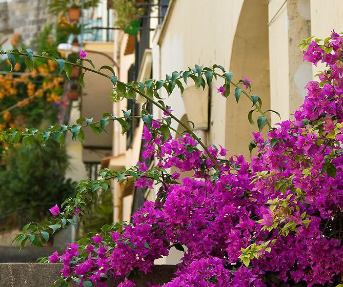 בית מלון כפרי Casa Antonella