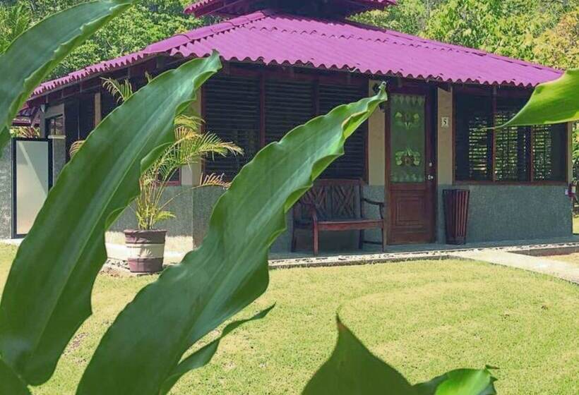 Szálloda Casa Corcovado Jungle Lodge
