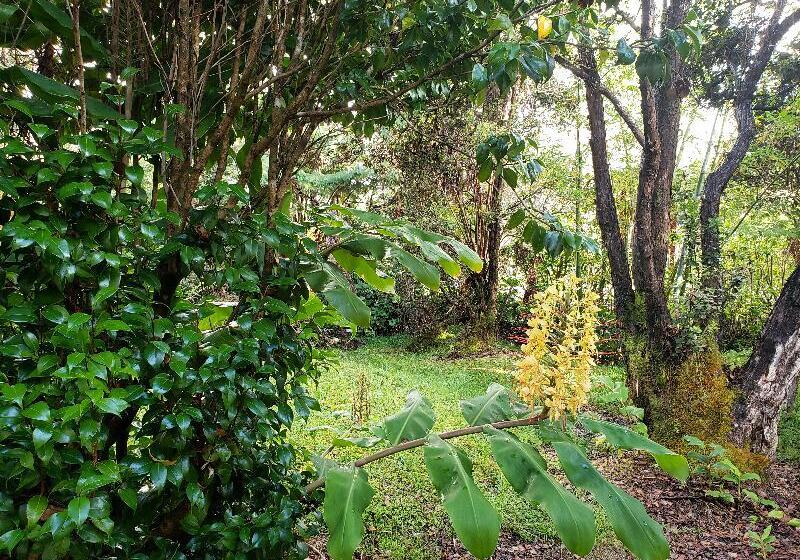 Отель Chalet Kilauea Collection - Inn At Volcano