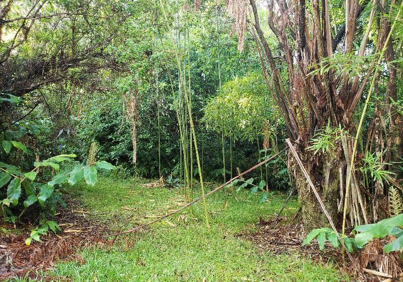 Отель Chalet Kilauea Collection - Inn At Volcano