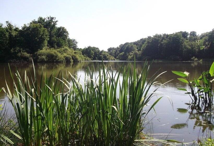 酒店 Château De Nieuil