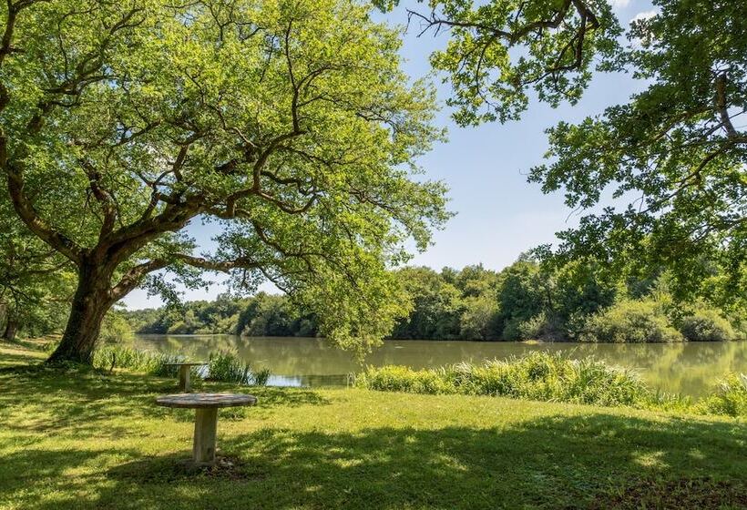 酒店 Château De Nieuil