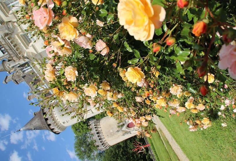 酒店 Château De Nieuil