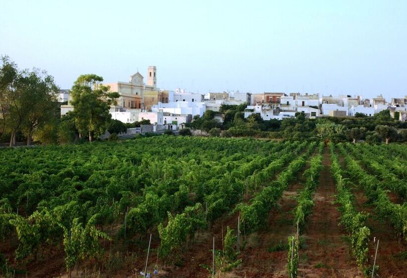 فندق Costa D Oro