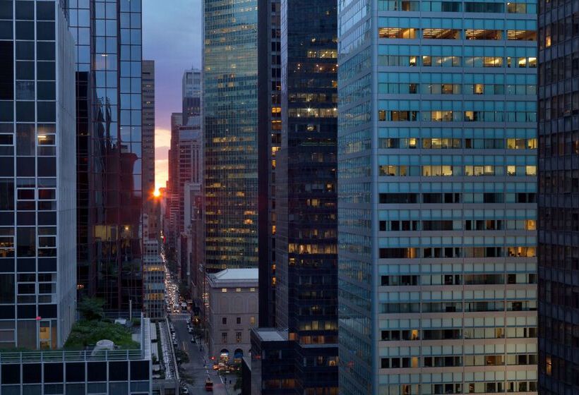 酒店 Hilton Garden Inn New York/manhattanmidtown East