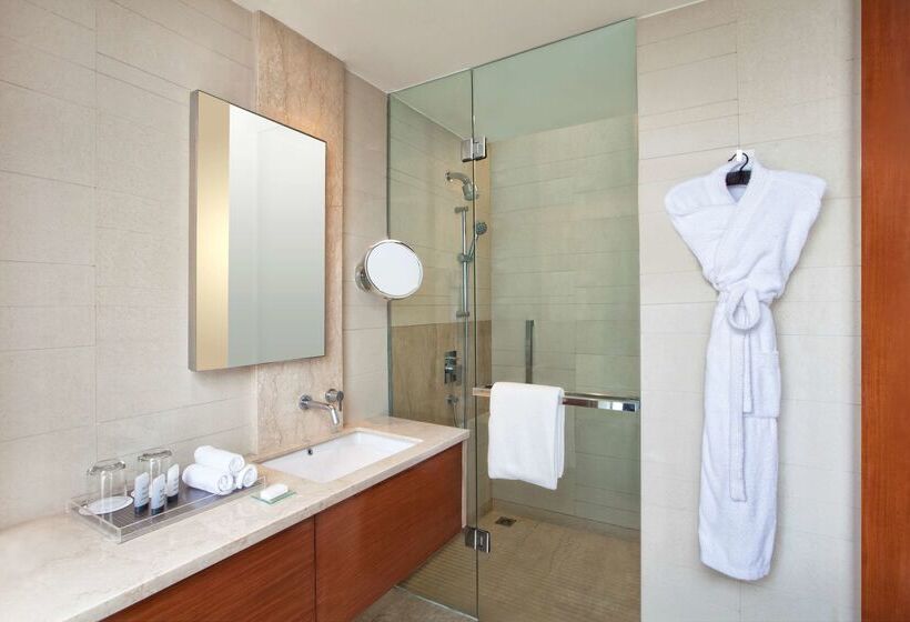 ホテル Hyatt Regency Amritsar