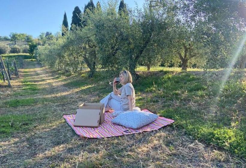 בית מלון כפרי Il Castagnolo Country B&b