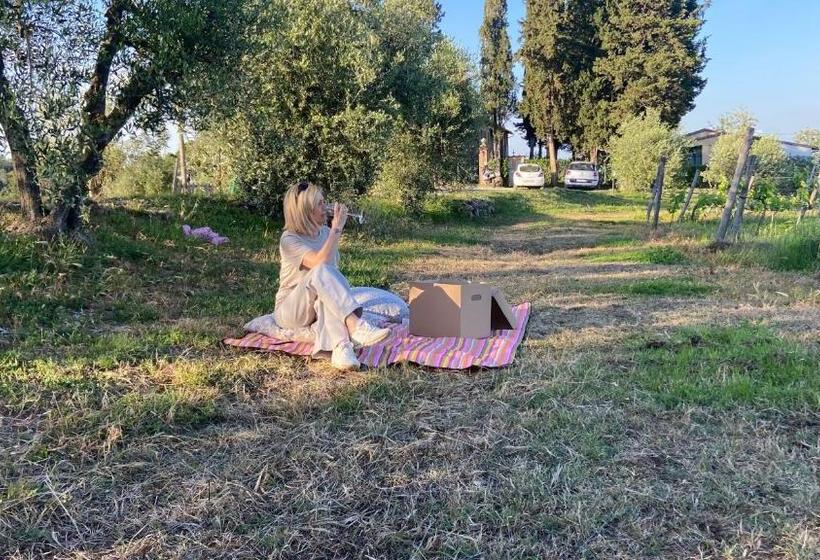 בית מלון כפרי Il Castagnolo Country B&b