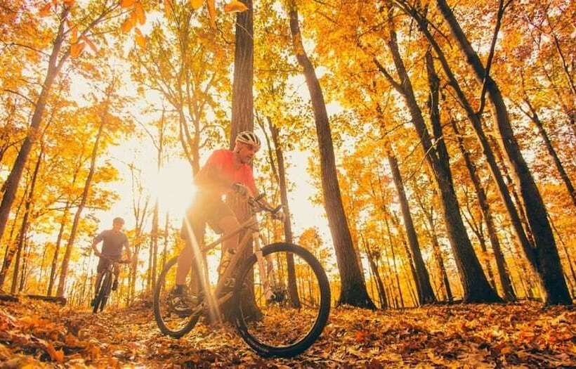 فندق Iris Crillon