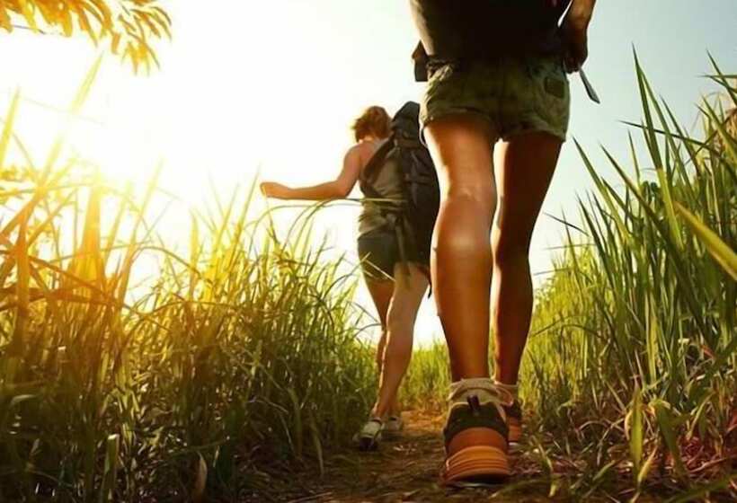 فندق Iris Crillon