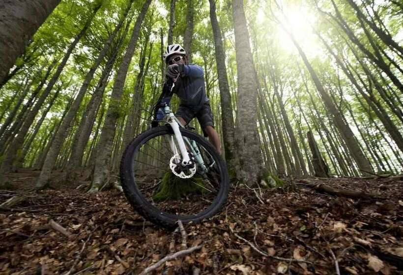 فندق Iris Crillon