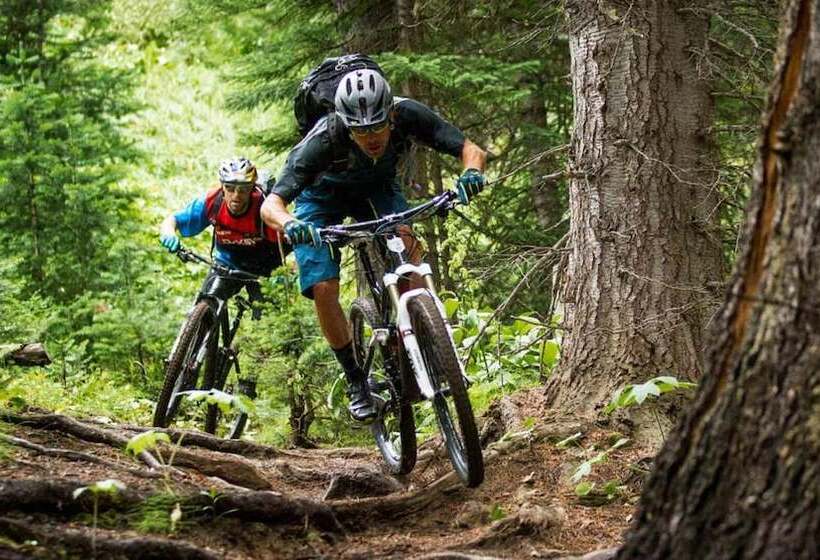 فندق Iris Crillon