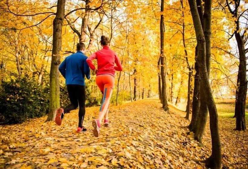 فندق Iris Crillon