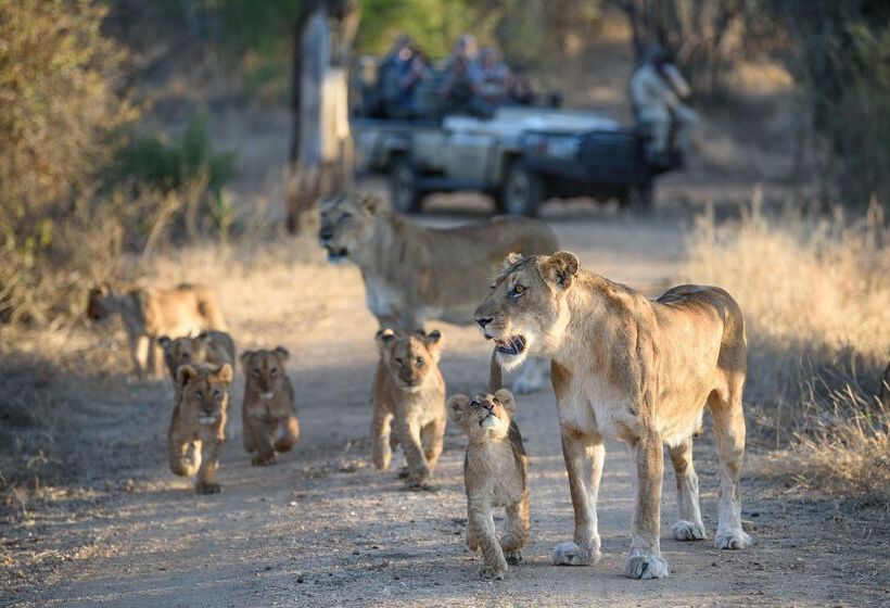 ホテル Kapama Private Game Reserve - Kapama Southern Camp