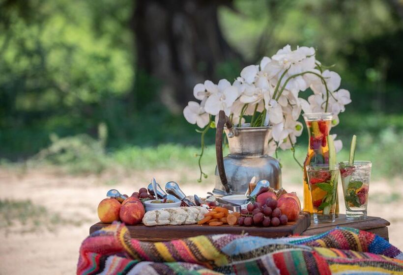 ホテル Kapama Private Game Reserve - Kapama Southern Camp