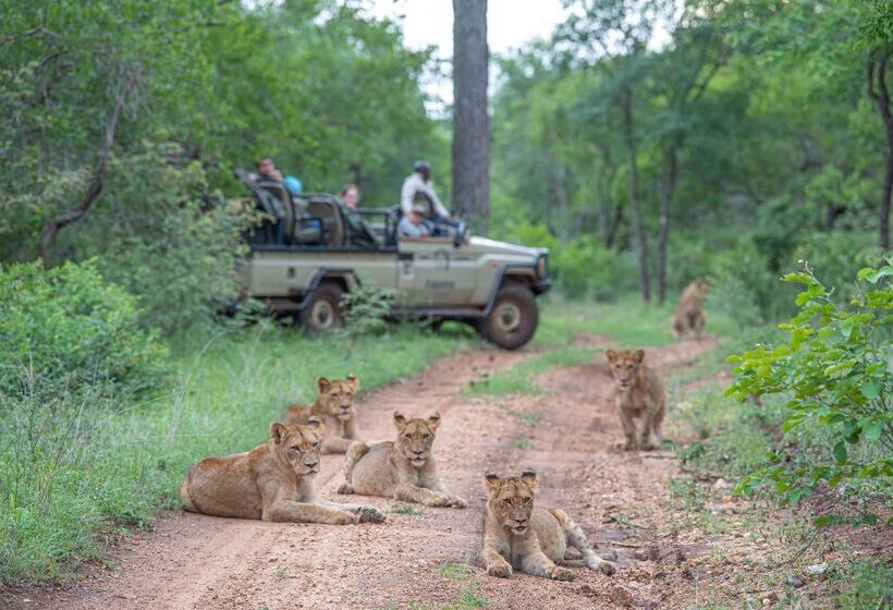 ホテル Kapama Private Game Reserve - Kapama Southern Camp