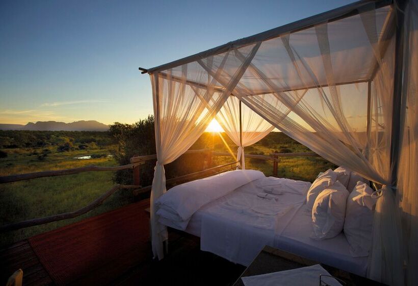 ホテル Kapama Private Game Reserve - Kapama Southern Camp
