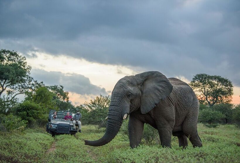 ホテル Kapama Private Game Reserve - Kapama Southern Camp