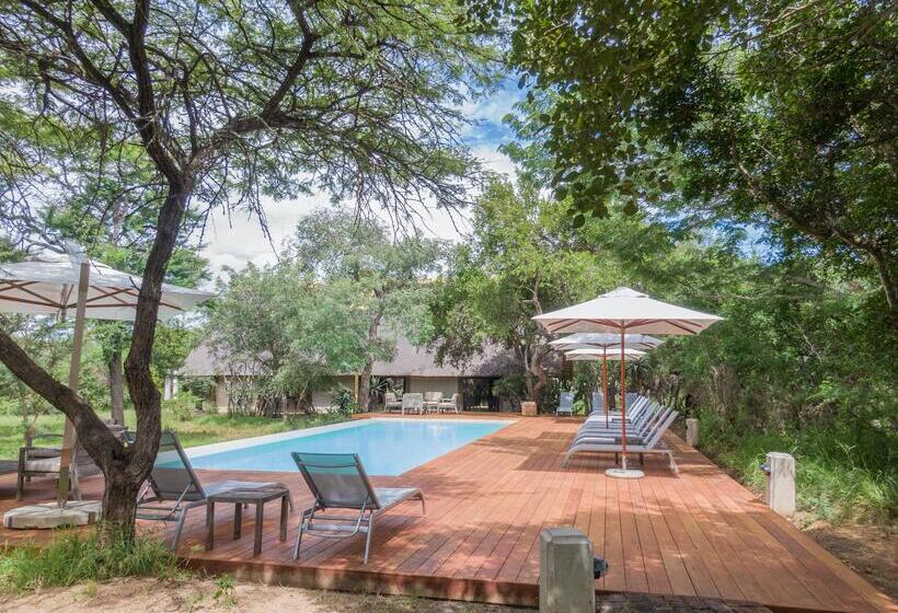 ホテル Kapama Private Game Reserve - Kapama Southern Camp