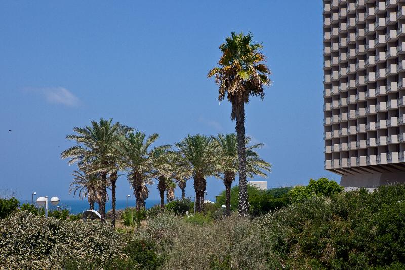 فندق Liber Apart