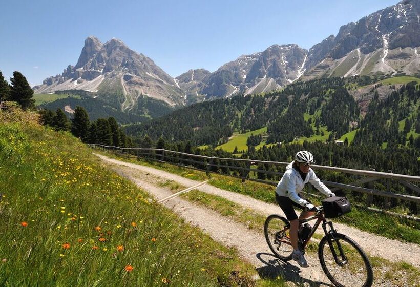 בית מלון כפרי Lowenhof