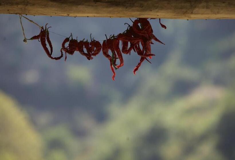 בית מלון כפרי Nisanyan