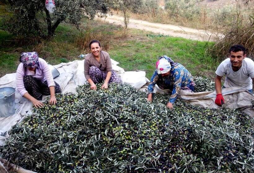 בית מלון כפרי Nisanyan