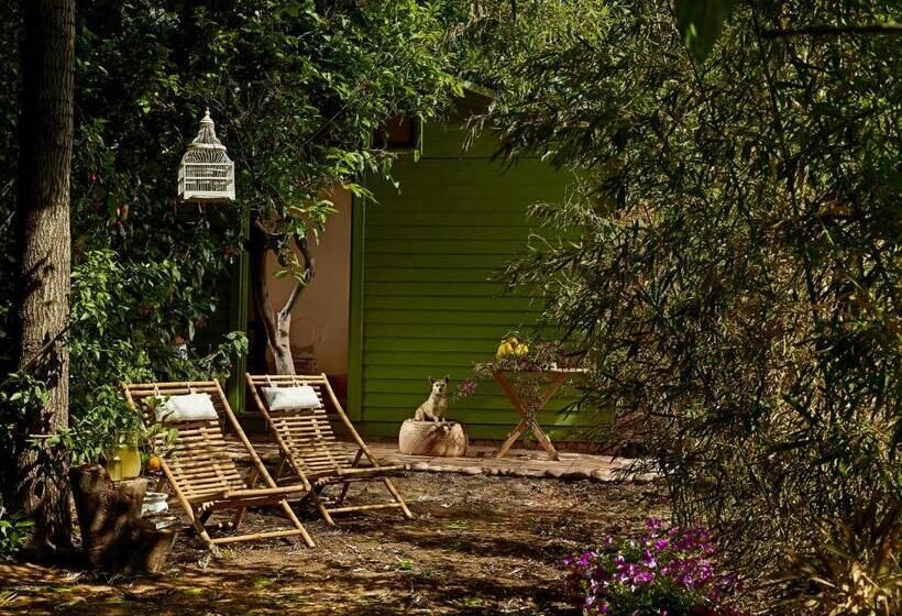 בית מלון כפרי Olympos Lodge