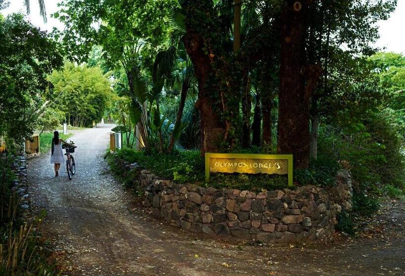 בית מלון כפרי Olympos Lodge