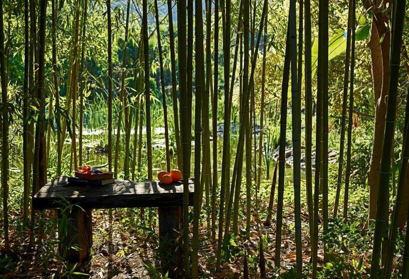 בית מלון כפרי Olympos Lodge