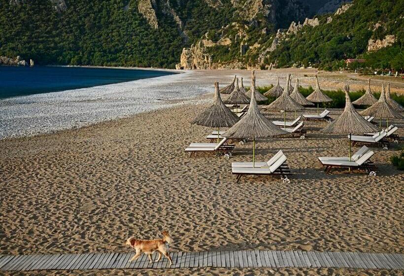 בית מלון כפרי Olympos Lodge