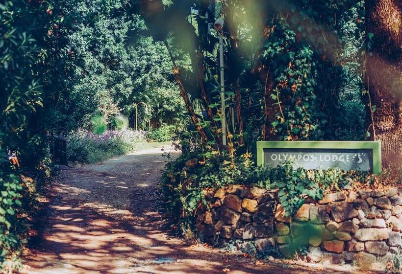 בית מלון כפרי Olympos Lodge