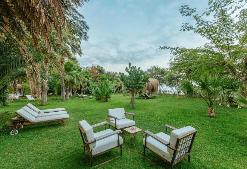 בית מלון כפרי Olympos Lodge