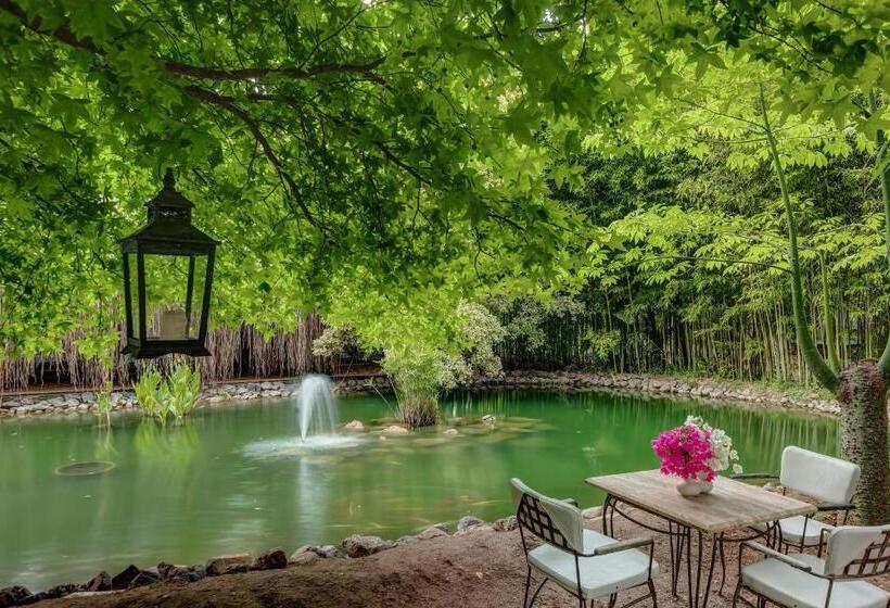 בית מלון כפרי Olympos Lodge