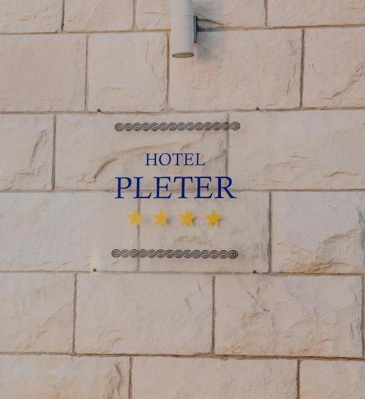 בית מלון כפרי Pleter