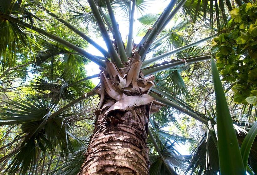 هتل Pousada Aguas Claras