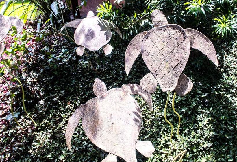 هتل Pousada Aguas Claras