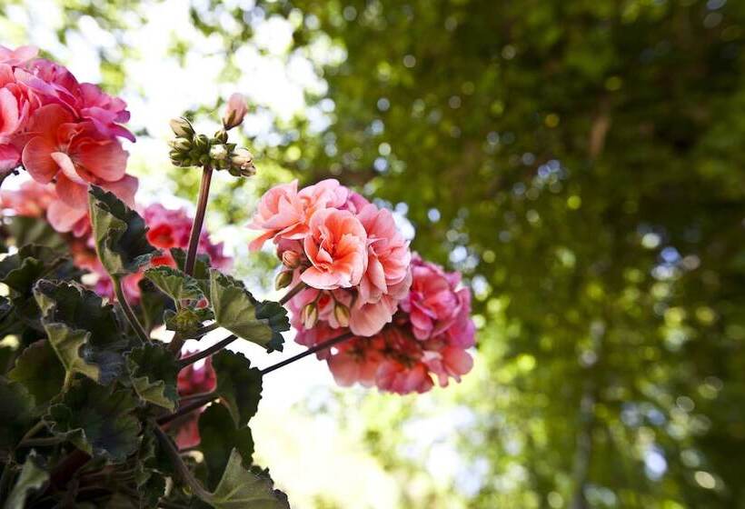 فندق Relais Parco Del Subasio