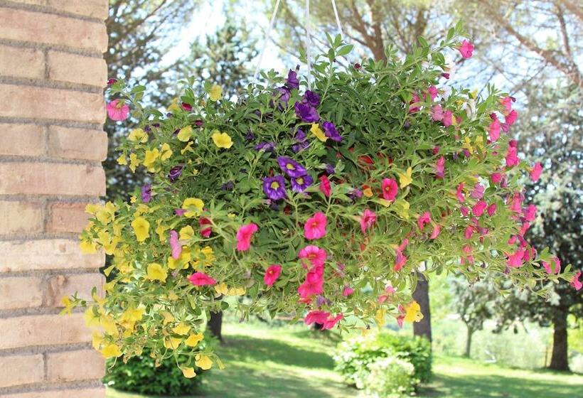 فندق Relais Parco Del Subasio