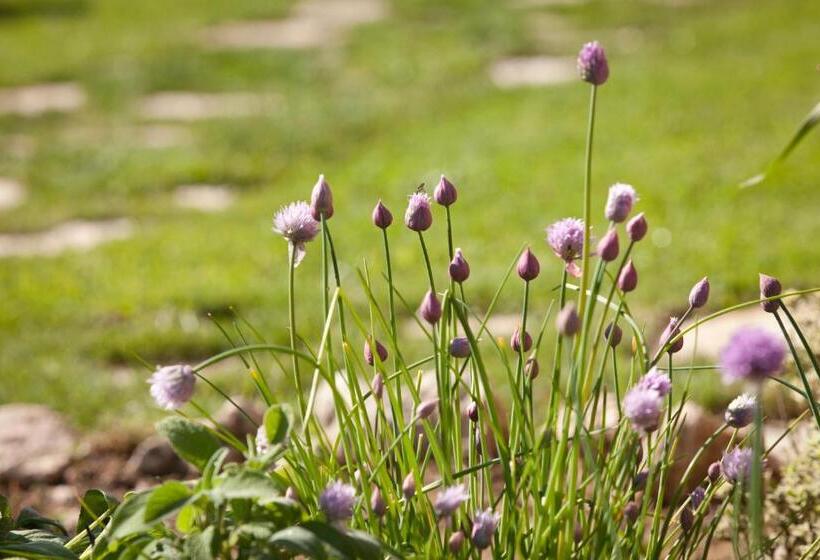 فندق Relais Parco Del Subasio